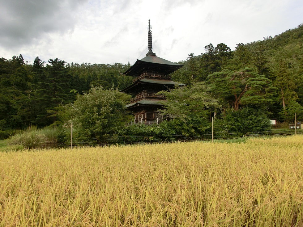阿久津八幡神社の三重塔