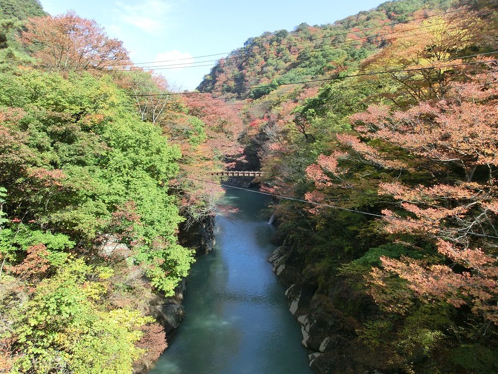 ダム上流域の紅葉の風景