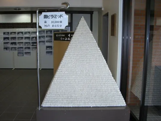 世界一の繭ピラミッド
