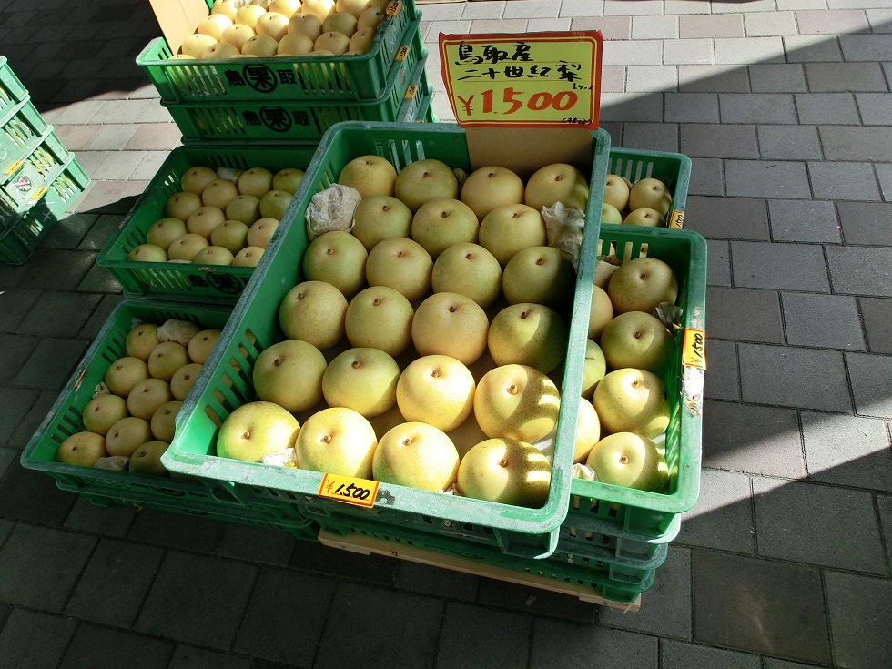 鳥取県産の農作物