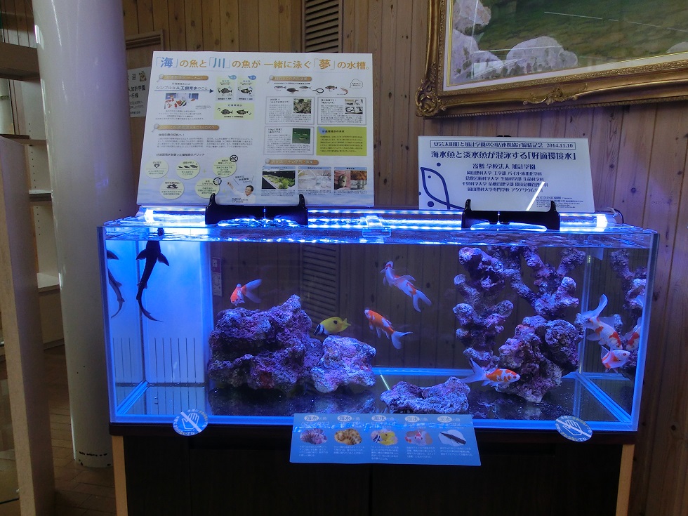 好適環境水を使った海の魚の展示