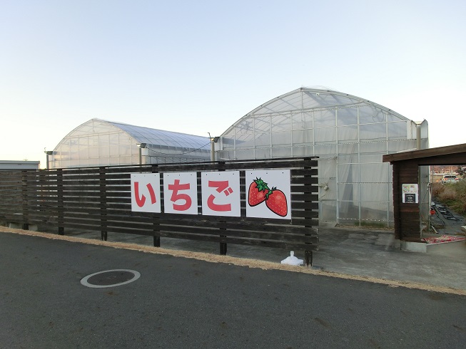 道の駅 | ひたちおおた | いちご園