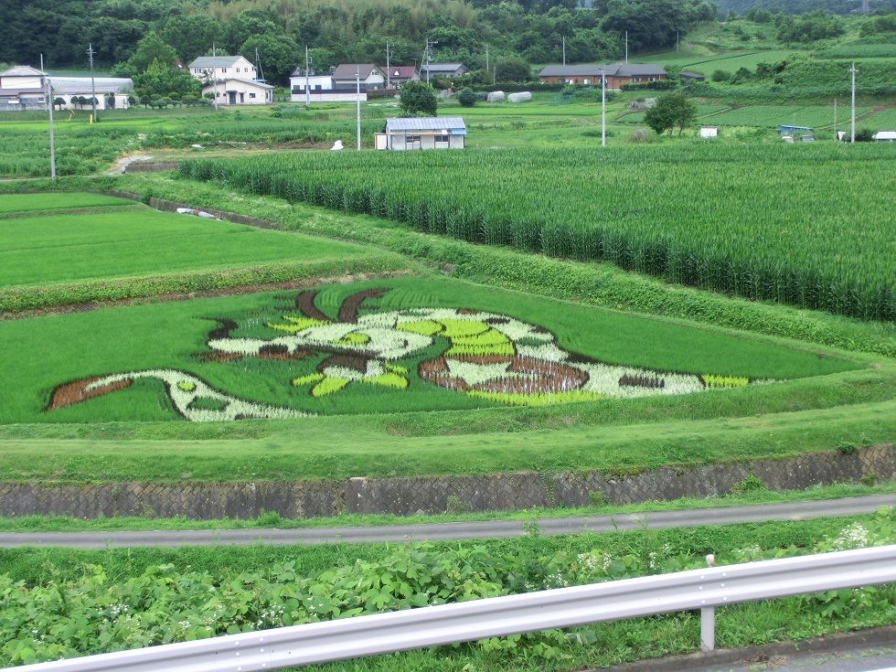 道の駅 | 中山盆地 | 田んぼアート