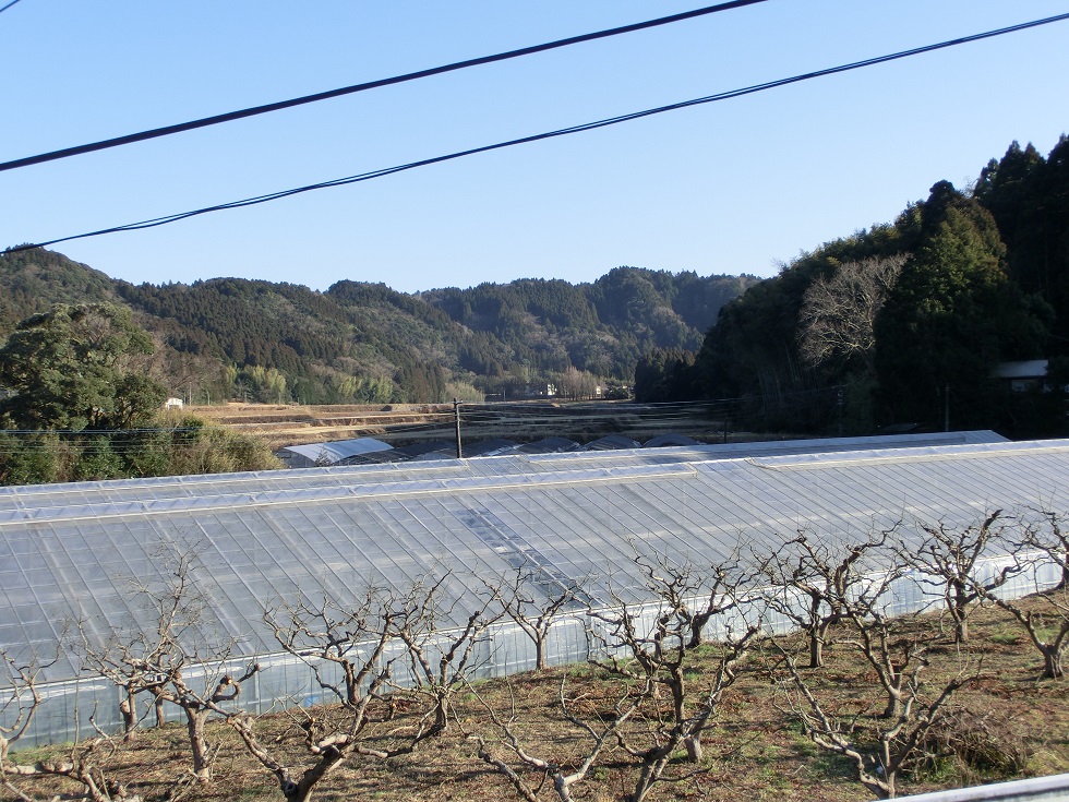 駅から見る風景