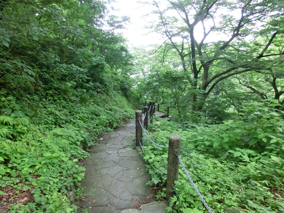 渚の道へ向かう遊歩道