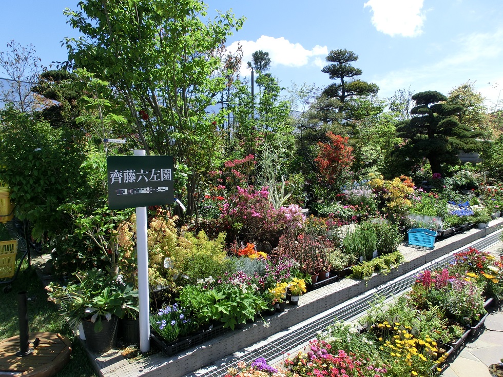 庭園・園芸植物見本園