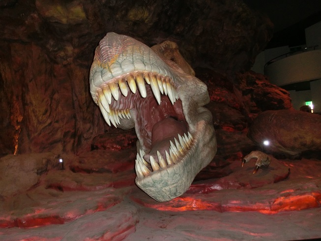 富士山博物館のT-REXエリアの写真