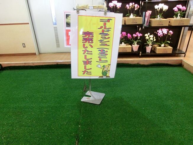 道の駅「とよとみ」のゴールドラッシュ完売を示す写真