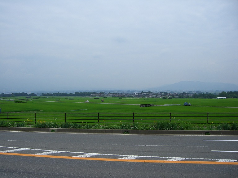 駅周辺の風景