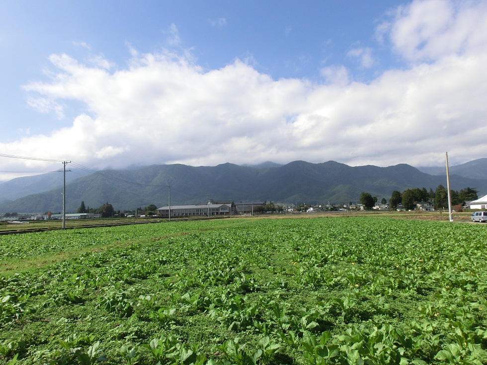 道の駅 | アルプス安曇野ほりがねの里 | 道の駅から見る風景