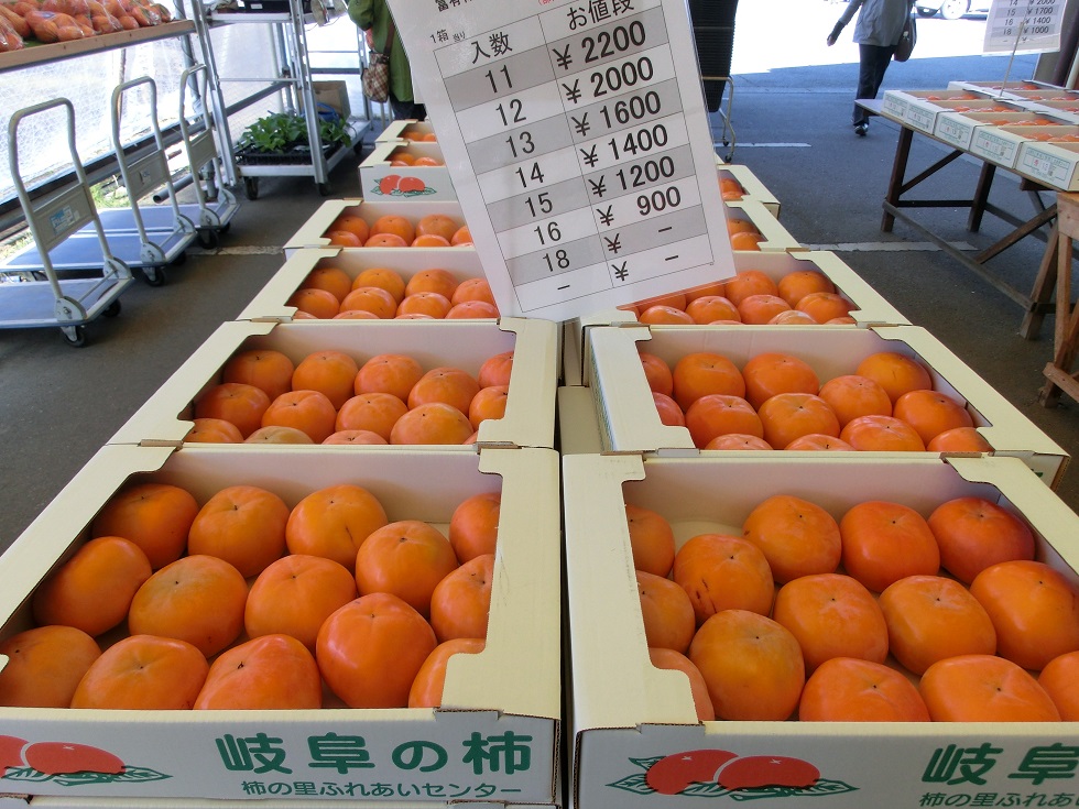 道の駅 富有柿の里いとぬき | 富有柿生産の第一歩を記した町