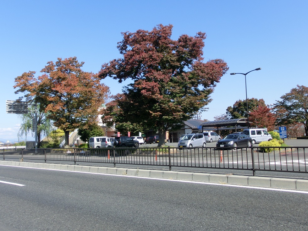 道の駅 | 柳津 | 木々に囲まれた駅施設