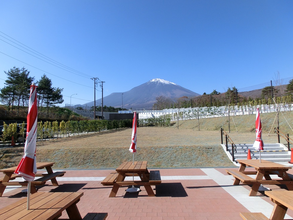 テラス席から見る富士山
