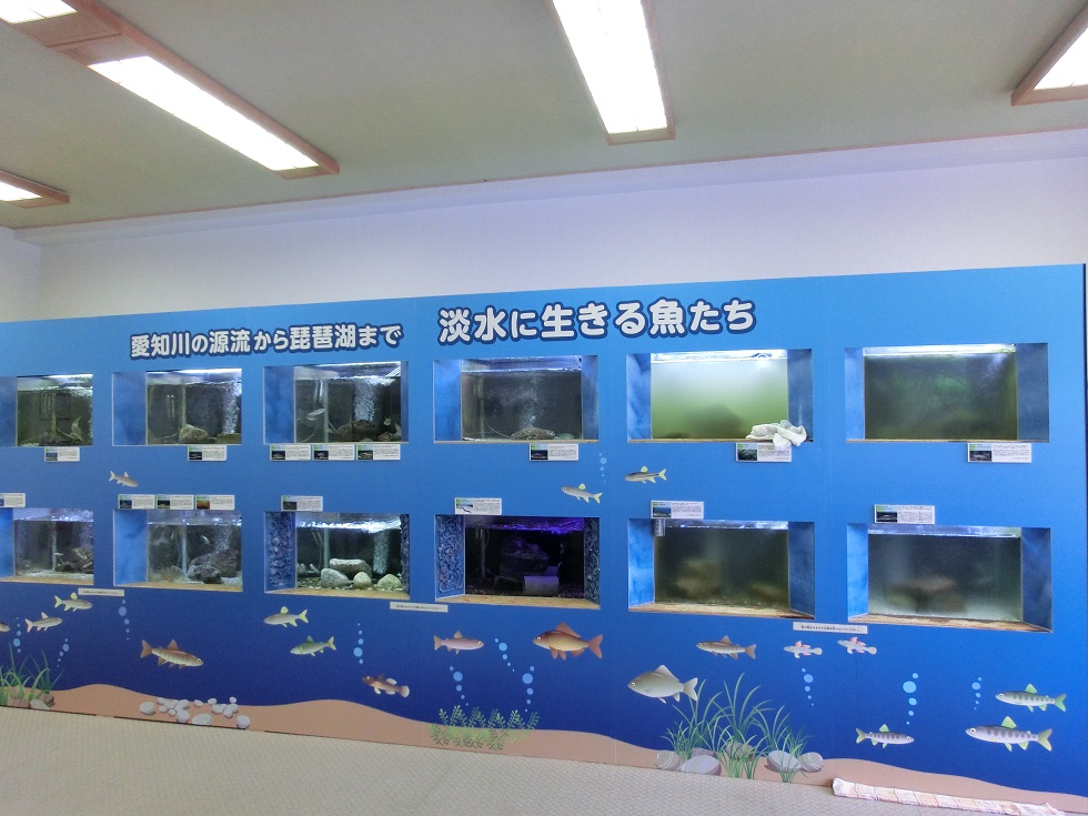 道の駅 | 奥永源寺　渓流の里 | 森の中の小さな水族館