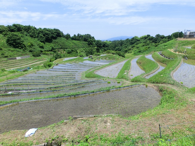 道の駅から約1キロ、下赤坂の棚田の写真