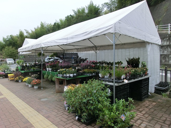「道の駅　かなん」の花卉類販売コーナーの写真