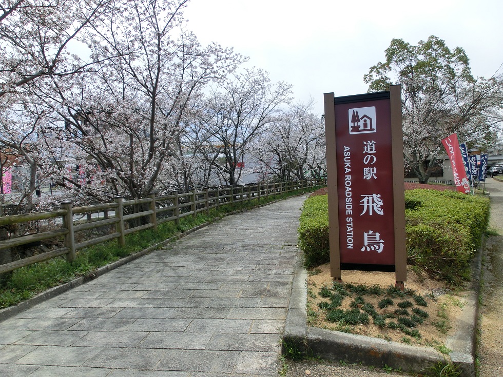 道の駅看板と桜並木