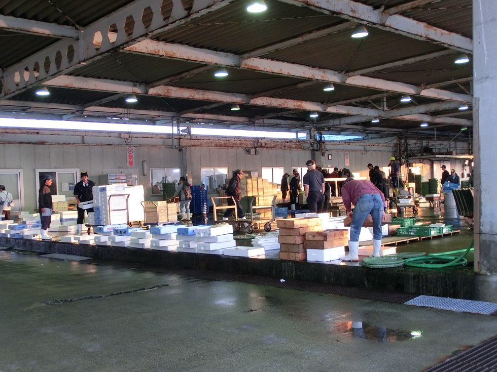 山口県漁協防府地方卸売市場で行われている競り