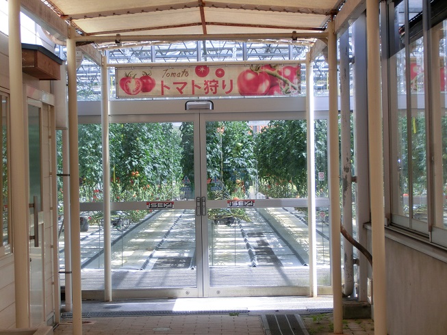 道の駅　虹の森公園まつの | トマト収穫体験