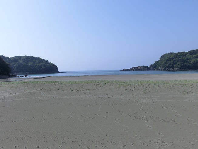 道の駅 | 東洋町 | 白浜海水浴場