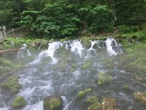 道の駅 | 絶景スポット | 名水の郷きょうごく | 京極ふきだし公園